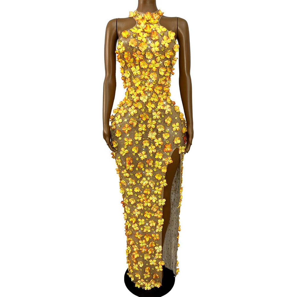 Women Fashion Photoshoot - Abito da sera in rete con